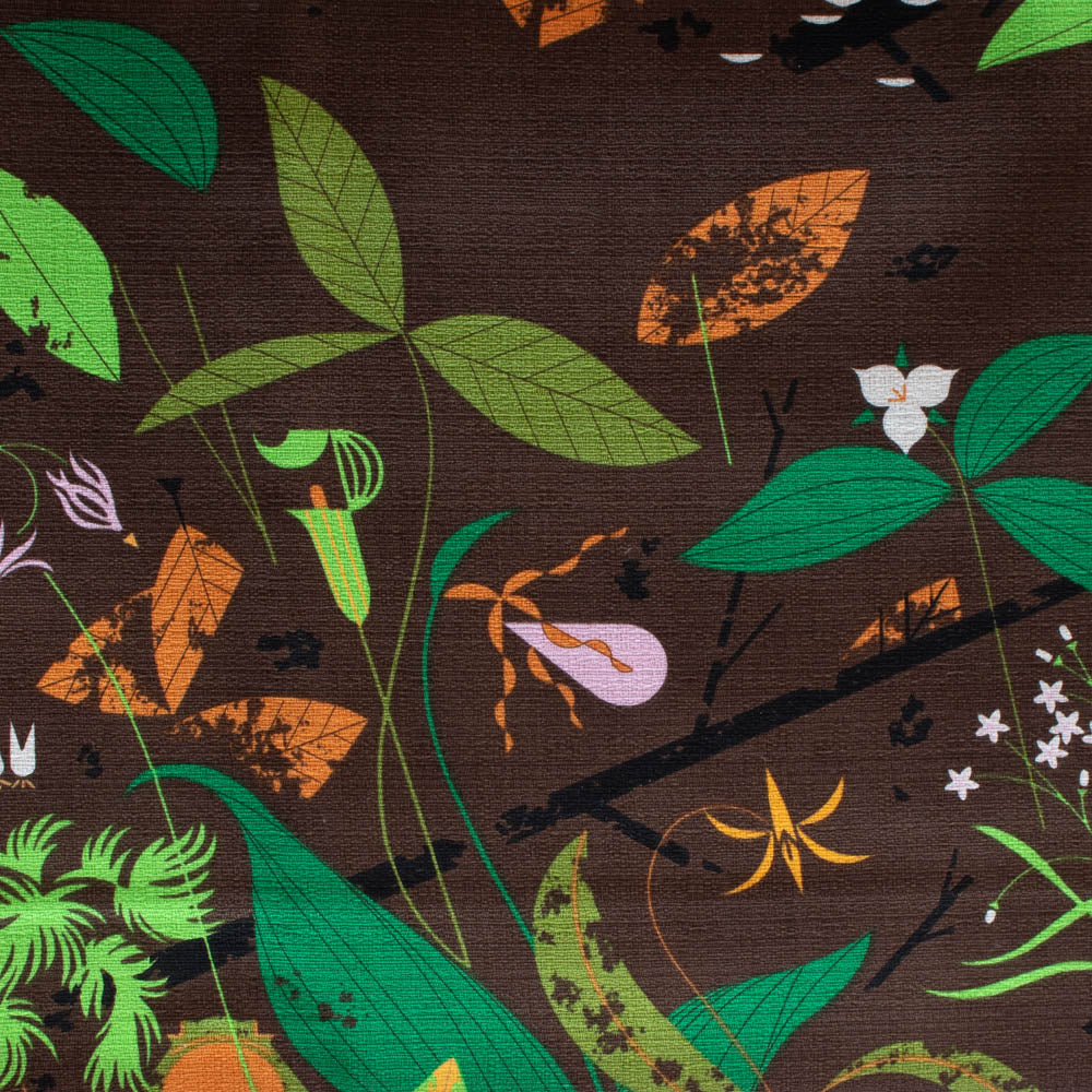 Charley Harper Iconic
