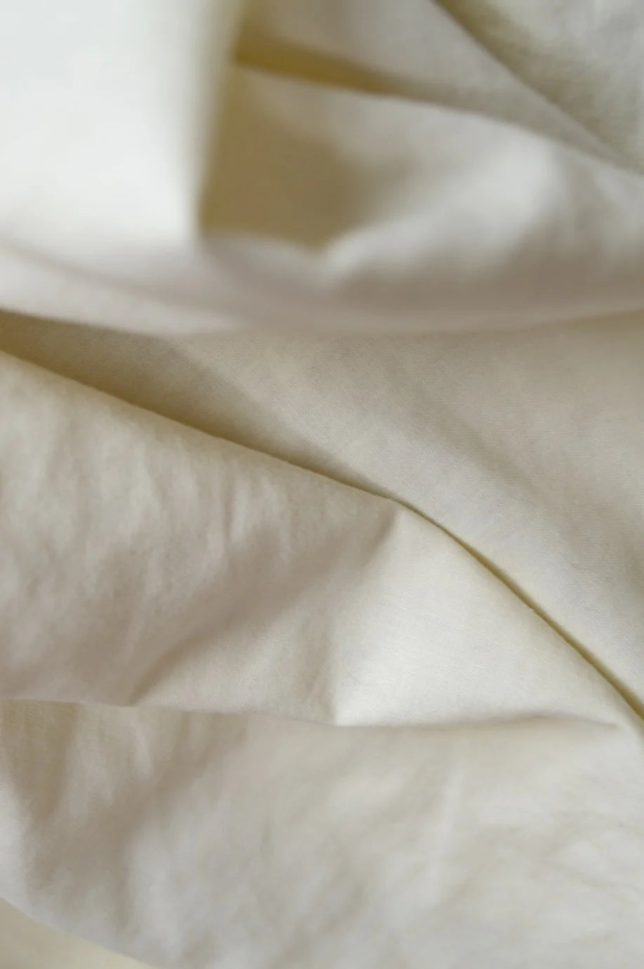 Hands holding raw organic cotton fiber.