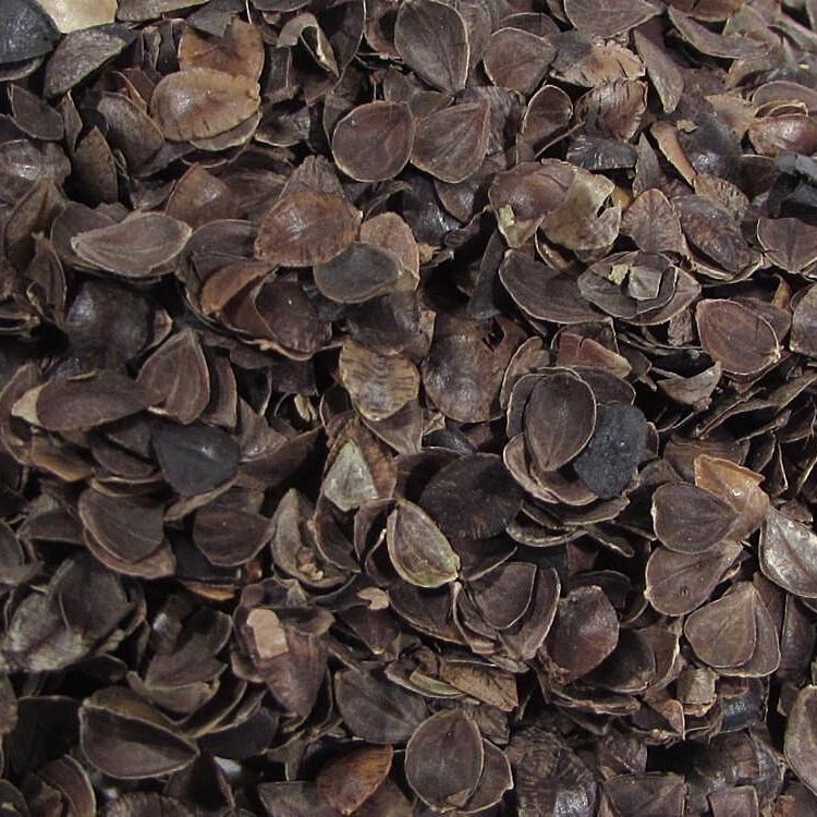 Medium Grade Buckwheat Hulls