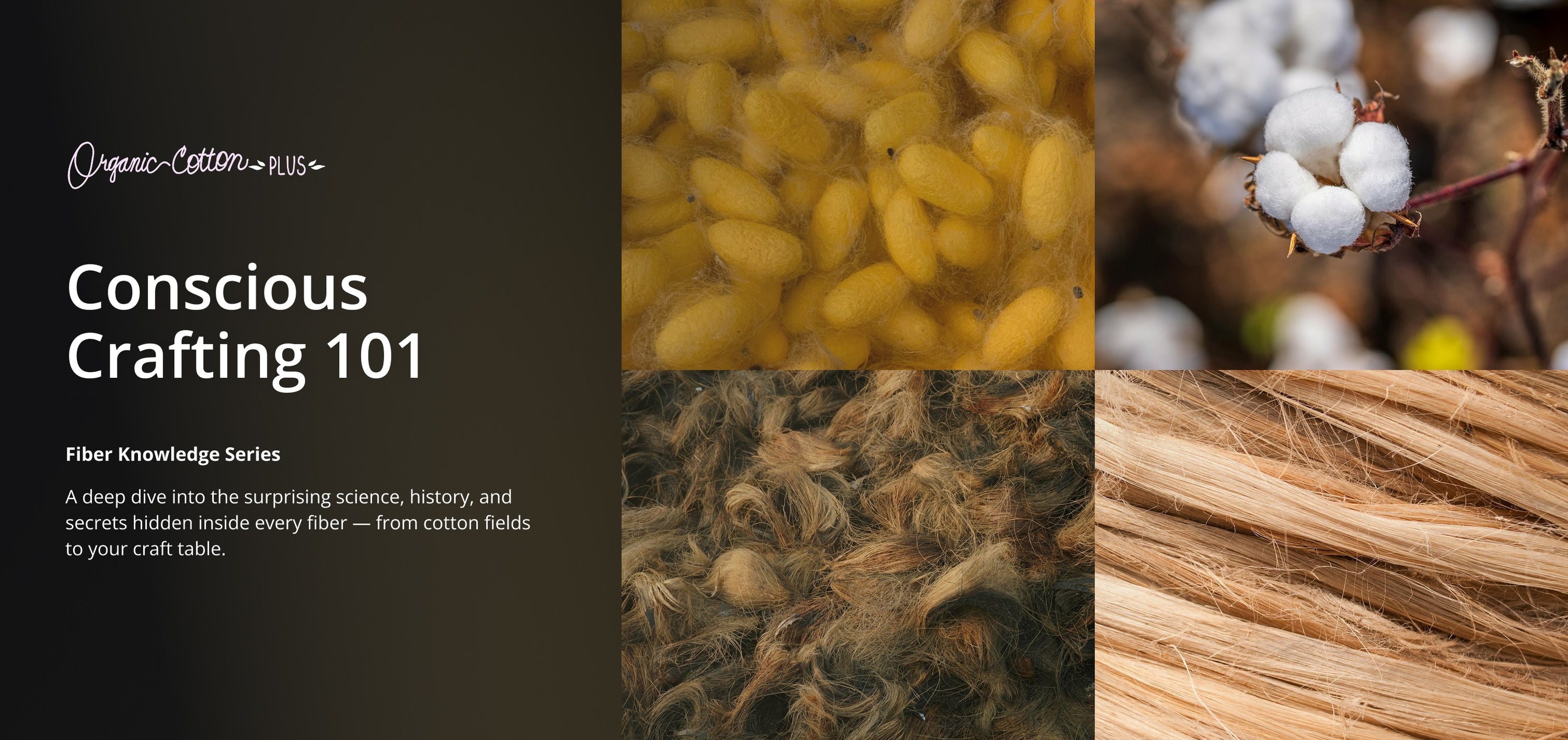 Conscious Crafting 101 — Fiber Knowledge Series. Visit now.