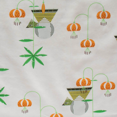 Charley Harper Alpine Northwest Collection