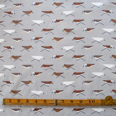 Charley Harper Coastal Vol. 2
