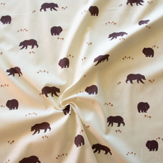 Camp Sur Collection