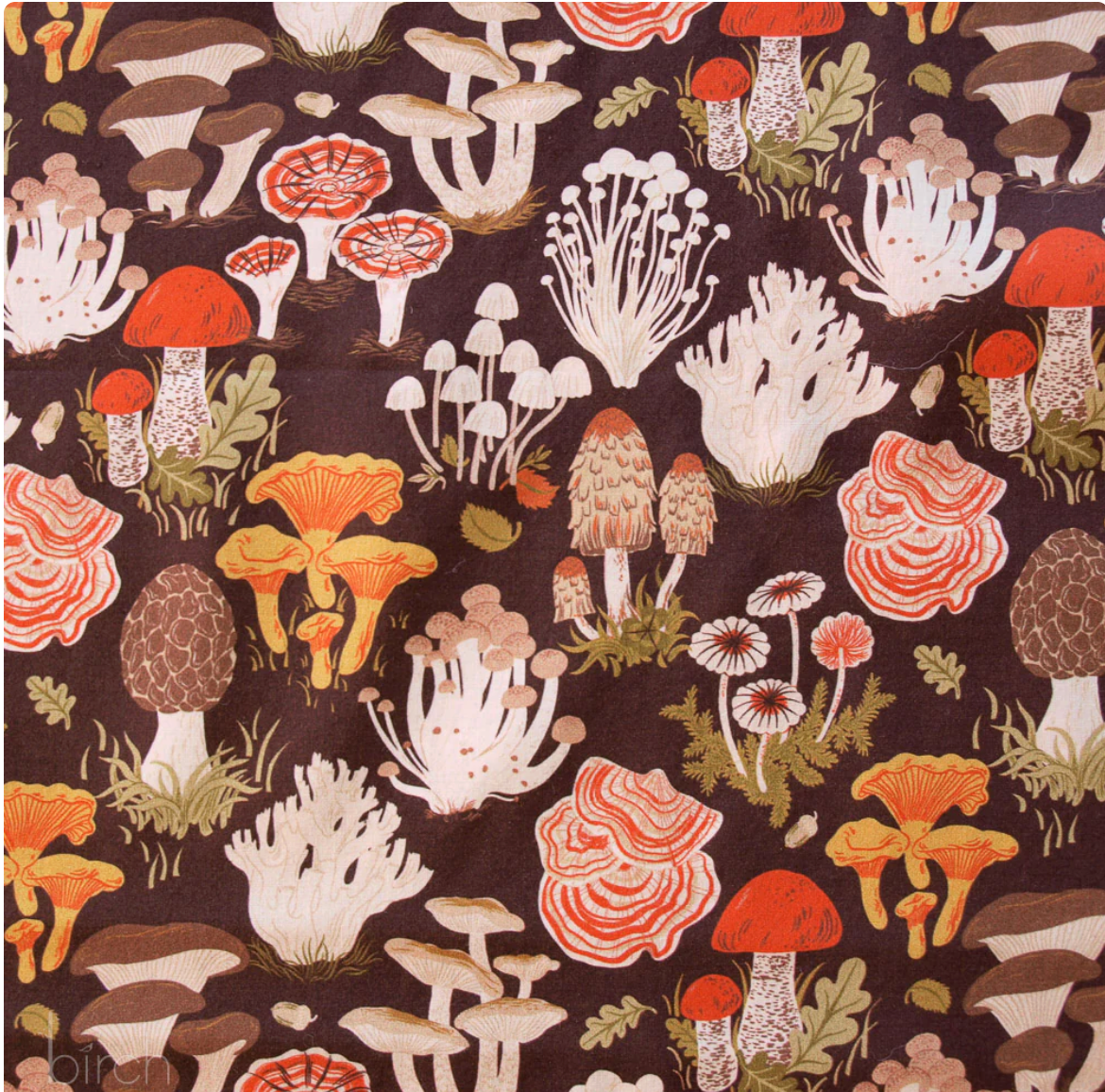 Flourish Lawn by Oana Befort