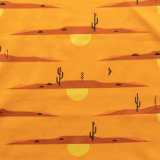 Charley Harper The Desert