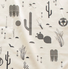 Charley Harper The Desert