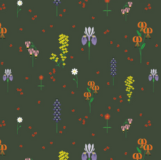 Charley Harper Sierra Range 2026