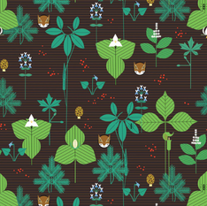 Charley Harper Woodland Wonders
