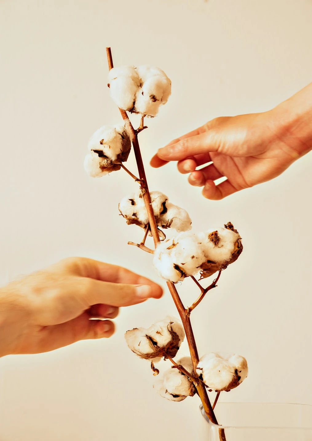 A maker writes in their notebook beside organic cotton swatches.