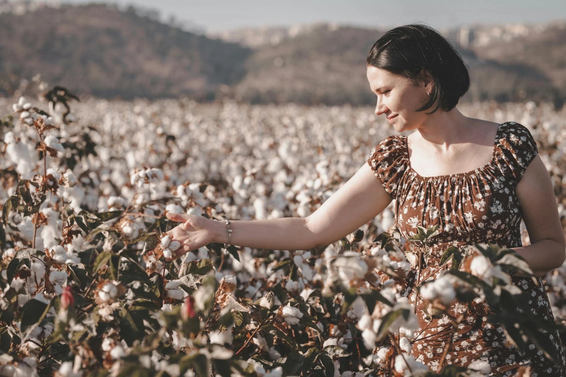 A maker walks through an organic cotton field at dawn.