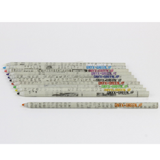 Recycled Newspaper Colored Pencils