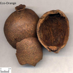 Vegetable Dye-Eco-Orange