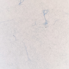 Handmade Specialty Paper 22 x 30