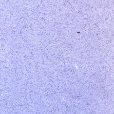 Handmade Specialty Paper 22 x 30