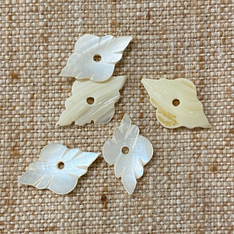 Decorative Shell Buttons