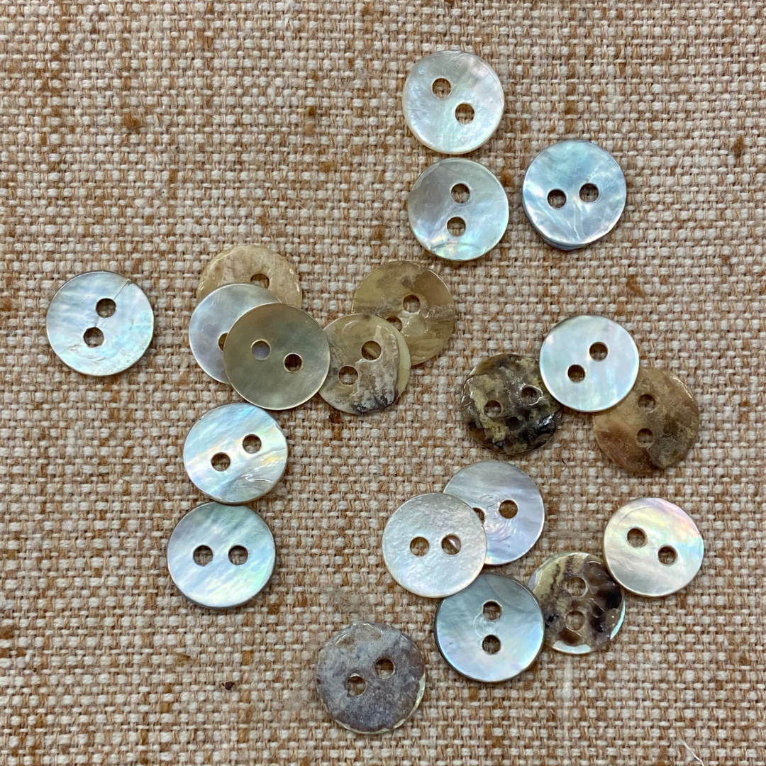 White Shell Buttons