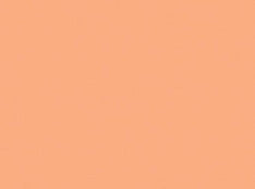 Procion MX-2/3oz. Bottle-Warm Colors